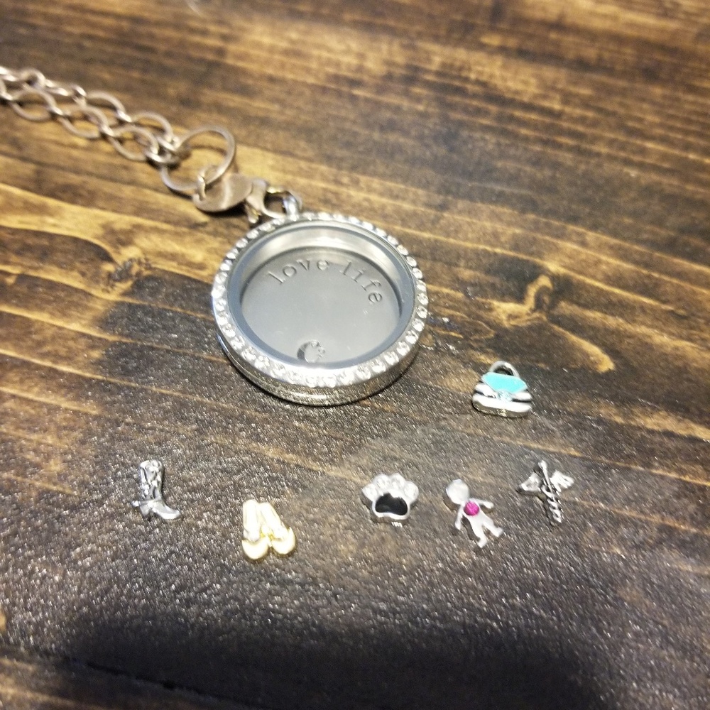 Origami Owl Necklace and charms